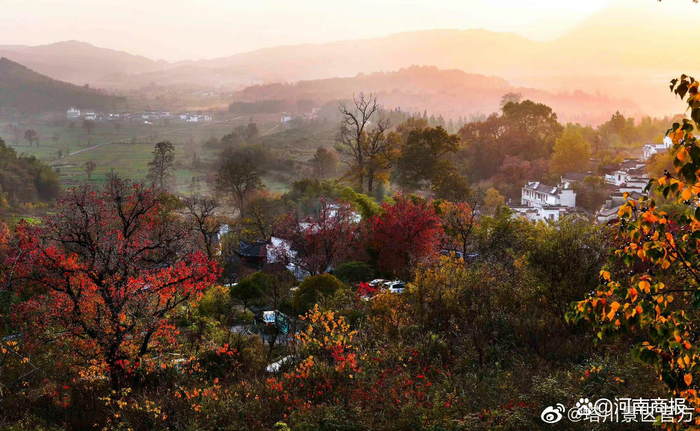 图片来源：塔川景区官方微博