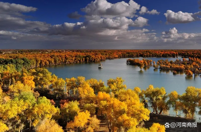 图片来源：轮台塔里木胡杨林景区微信公众号