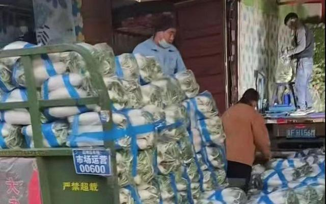 河北新发地“白萝卜大王”梁亚超白萝卜上货。受访者供图