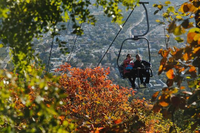2020年10月17日，游客在香山公园内赏红叶。资料图片/新京报记者 侯少卿 摄