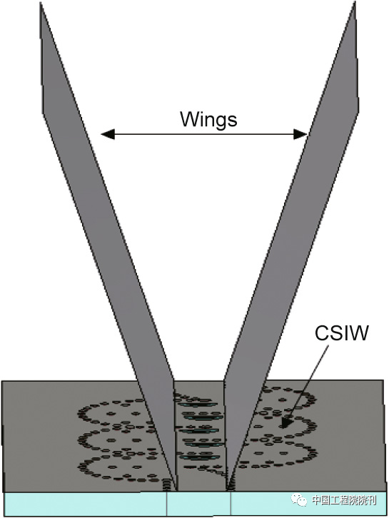 图19. 带有两个金属材质机翼的CSIW。