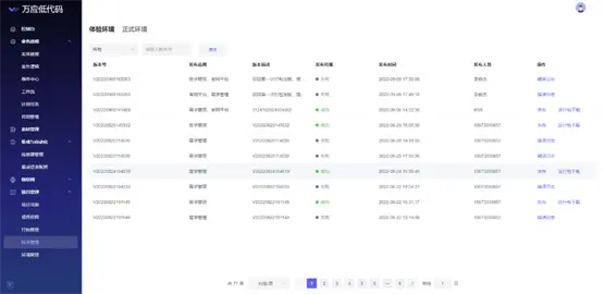 项目上线界面示意