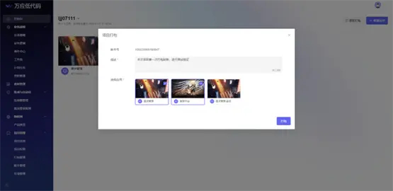 项目打包界面示意一