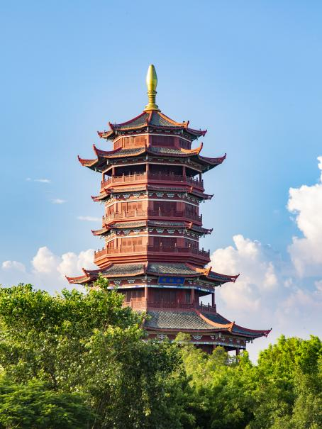 　　园博苑·杏阁墨杉奇色