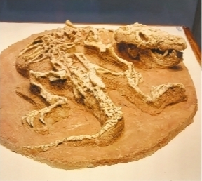         巨爬兽是早白垩世的生灵。