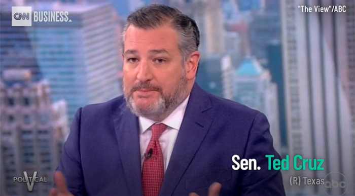 特德·克鲁兹（《观点》节目截图）