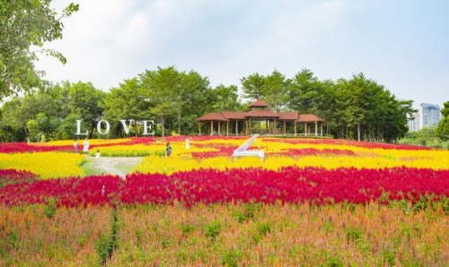 　　园博苑·花海杏湾观鸟