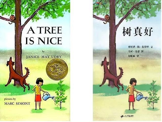 左图为英文版封面，右图为中文版封面。