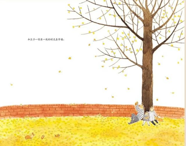 《树看到了什么——时间和我们的故事》插图。（图源：未读）