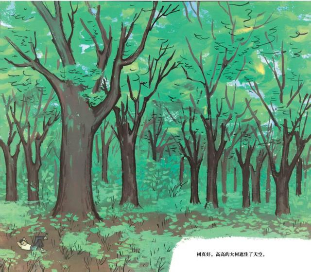 《树真好》插图。（图源：蒲蒲兰）
