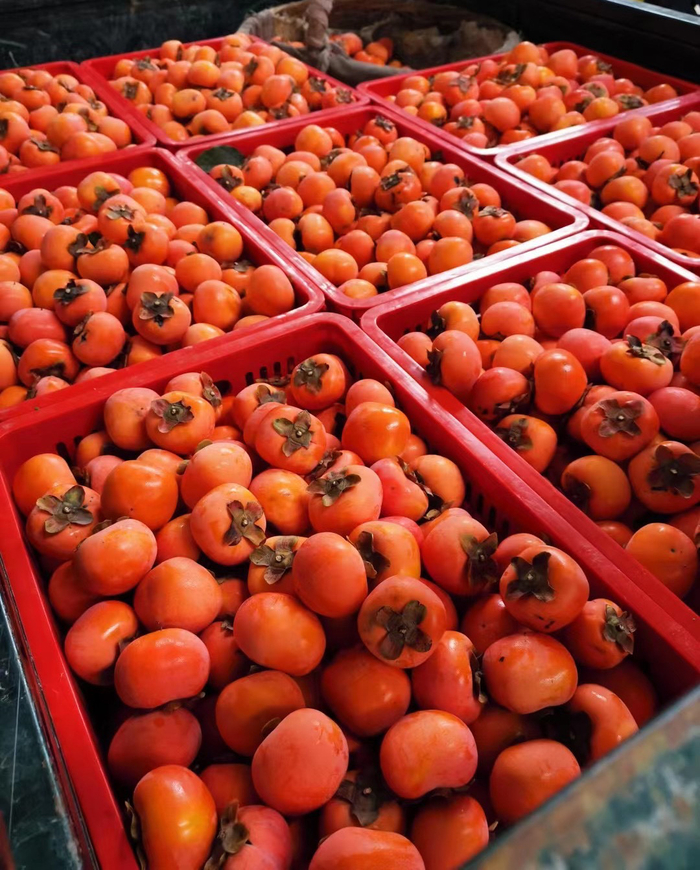 仓库里等待被打包的一筐筐火晶柿子 图源：受访者提供