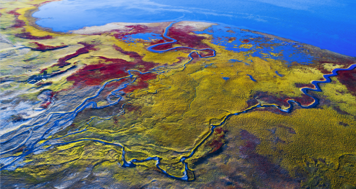 冬格措纳湖国家湿地公园 （李友崇 摄）