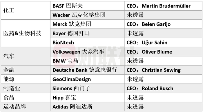 表格梳理了12个德国代表所属的行业及企业确认出访的高管名单。