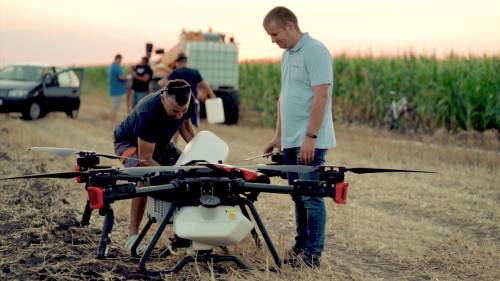 　　罗马尼亚农民正在使用极飞 P100进行玉米植保