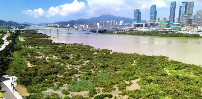 滨海滩涂湿地（李斯辰 摄）