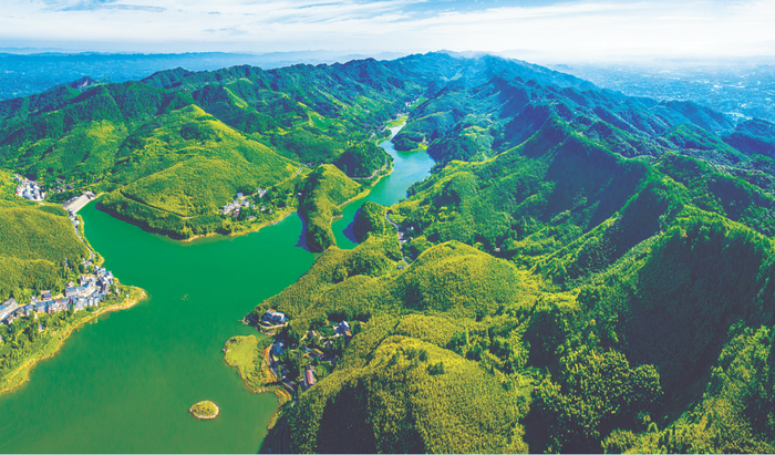 重庆市梁平区百里竹海。（黄海 摄）