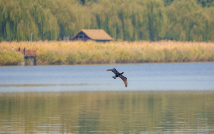 10月24日，北京大运河森林公园树叶色彩缤纷，秋色如画。图/IC photo