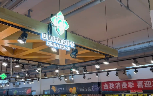 ▲供销社线下店铺。图/新京报贝壳财经视频截图
