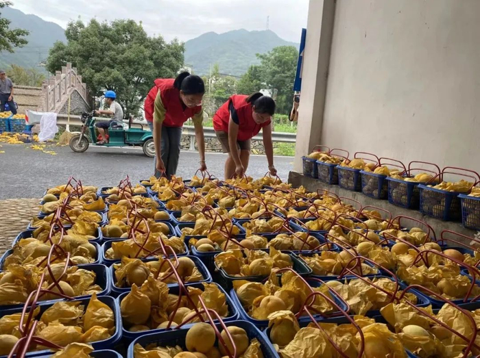 水系连通助力南屏乡黄桃产业 郑圣俊供图