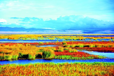     若尔盖县花湖秋景 白玛夺吉摄