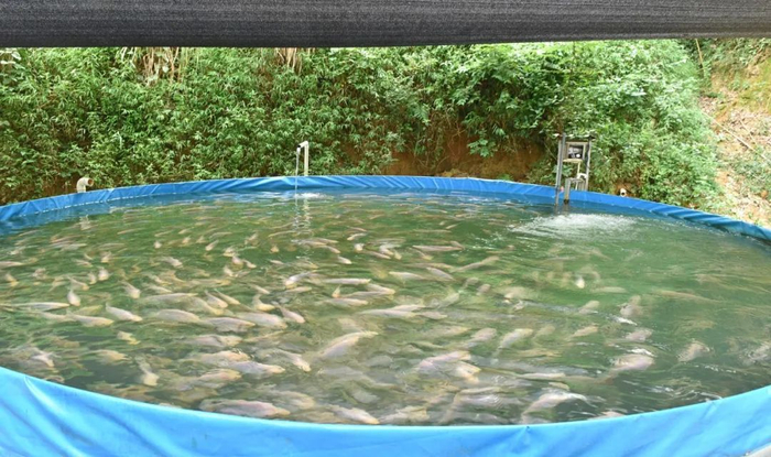 图源：阳春融媒