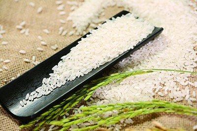     米粒狭长，饱满坚硬，色泽清白的五常大米。资料图片