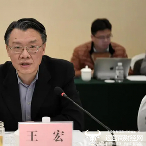 独家：原云南电信一把手王宏转资深总裁 他当过3个省公司总经理_手机新浪网