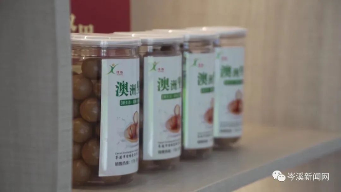 澳洲坚果（图片来源：岑溪新闻网）