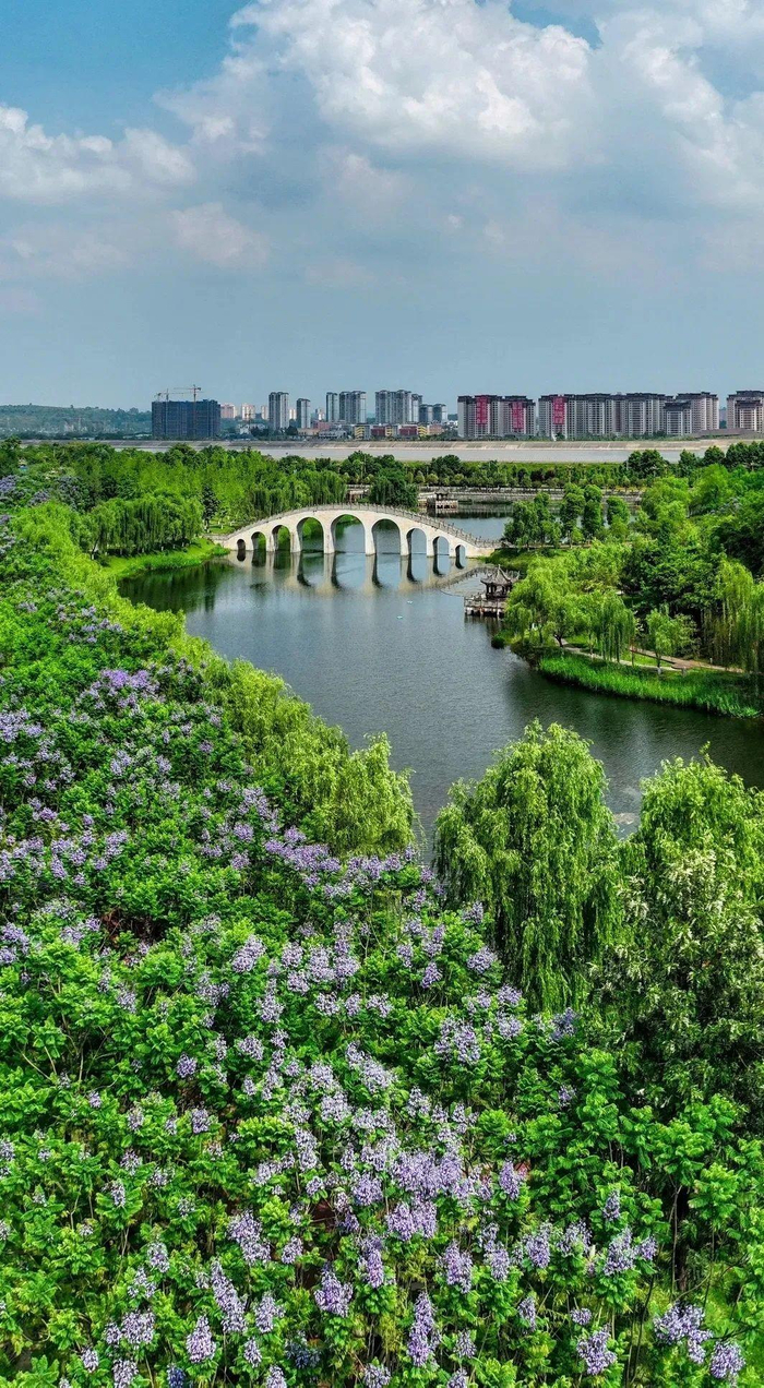 　　东坡城市湿地公园