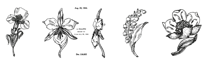 线稿图：果冻康乃馨  果冻兰花  果冻山谷百合 果冻绿蕊牡丹