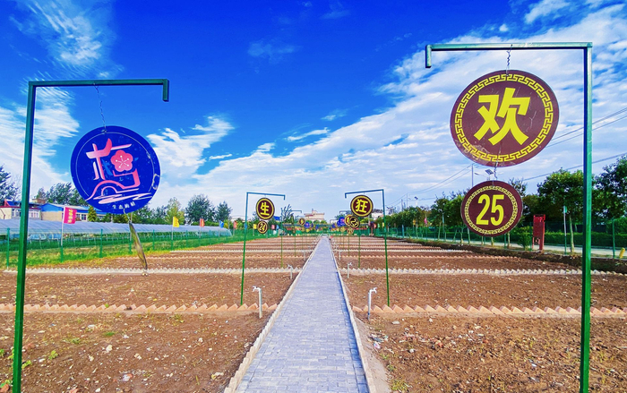 此次规划尝试的自助式“小菜园”雏形初现（上图），未来这里将瓜果满园（下图），喜迎八方来客。      ——编者注