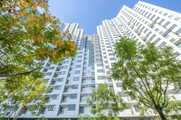 资料图 潘之望摄 图文无关