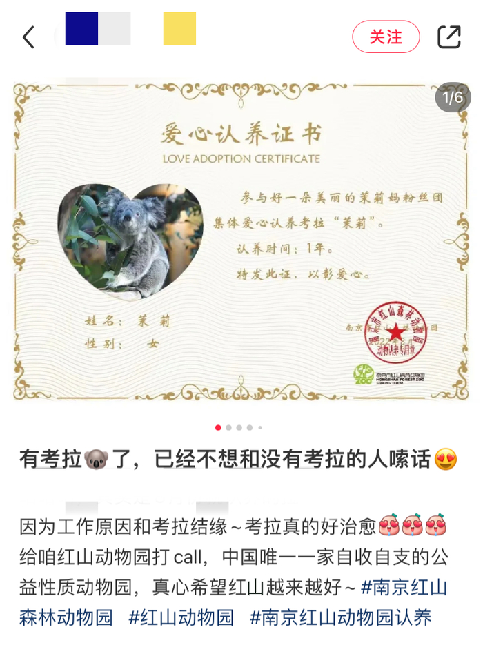 社交媒体上的动物认养“炫耀帖” 图源：网络截图