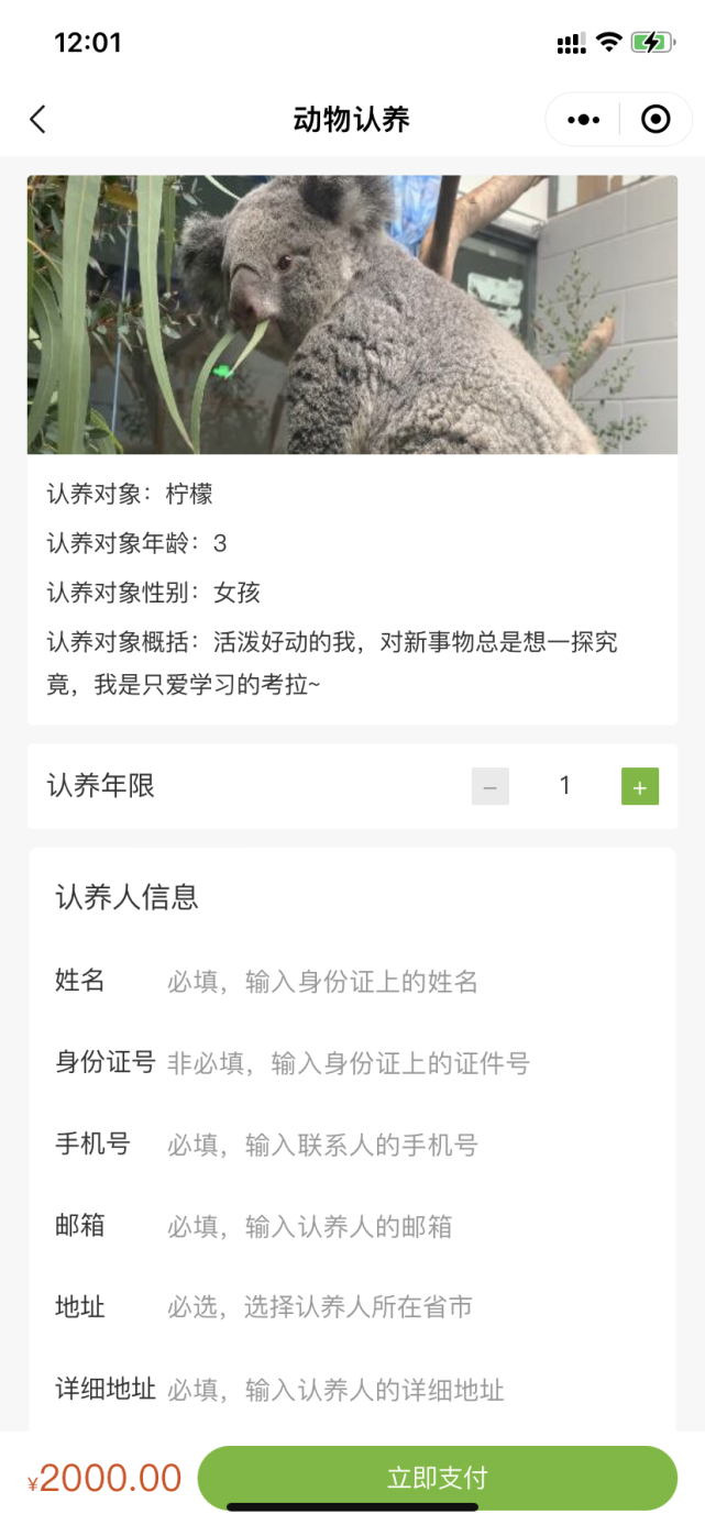 考拉“柠檬”，云认养一年需花费2000元