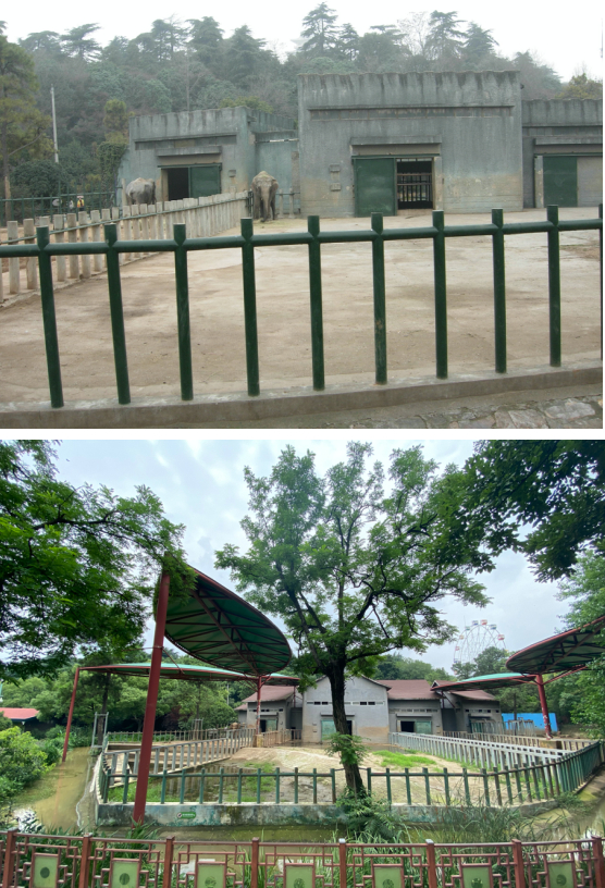 象馆改造前vs改造后