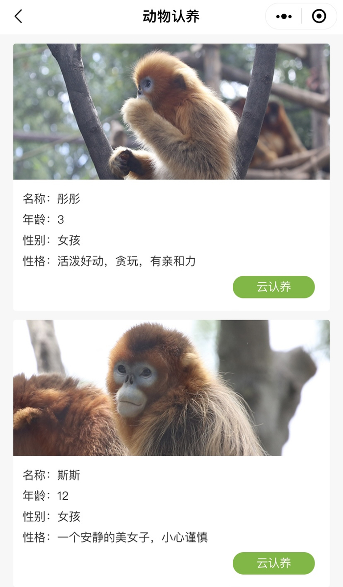 红山动物园小程序的“云认养”界面 图源：网络截图