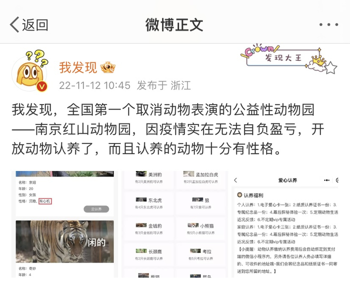 博主“我发现”发布的动物认养有关的微博 图源：网络截图