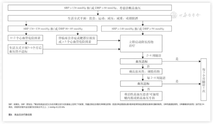 高血压新诊疗路径，图源《新指南》