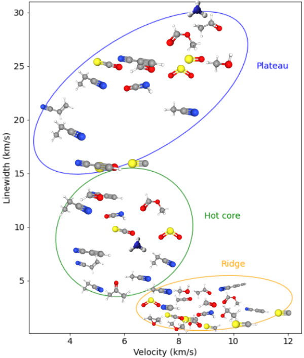 图3 天马探测到的不同分子品类的线心速度与线宽的关系图。不同椭圆区域对应不同空间成分。