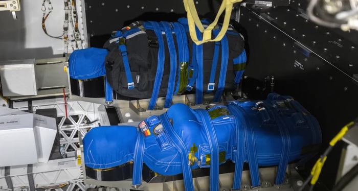 Helga 和 Zohar   图片来源：NASA