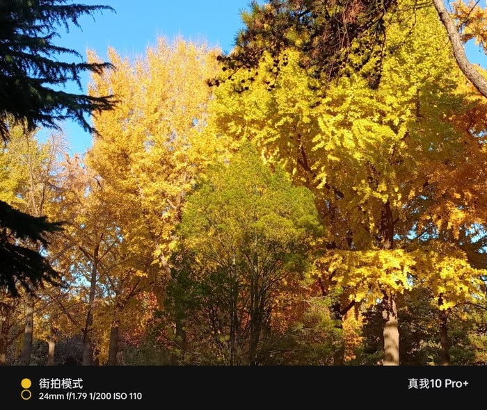 全新升级的街拍水印还增加了拍摄参数的显示 图源：品玩 LU摄