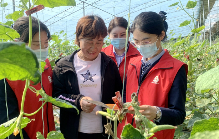 烟台辖内农商银行走访女性种植户，了解金融需求。刘荷/摄
