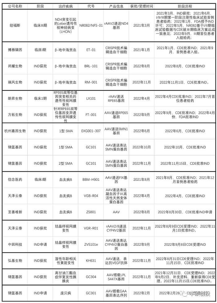 图4 国内临床/IND申请阶段基因治疗公司管线情况（来源：各公司官网及公开资料，丰硕创投整理）