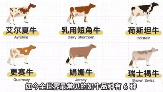 图片来源：B站@柴知识