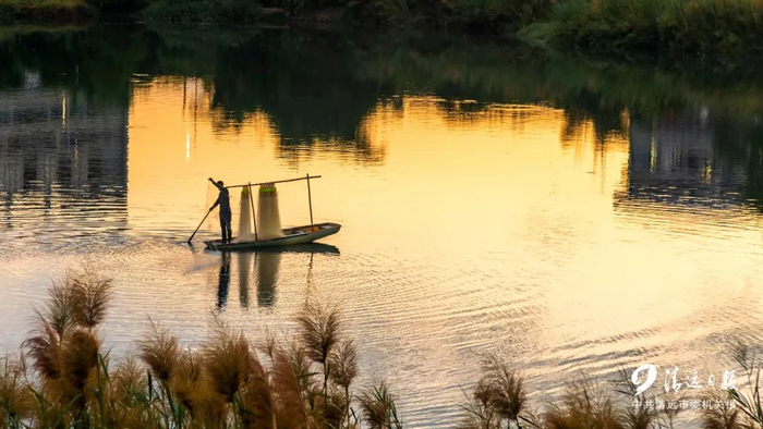连州市连州镇良江村星子河，渔民在捕鱼。清远日报签约摄影师 罗敏 摄 