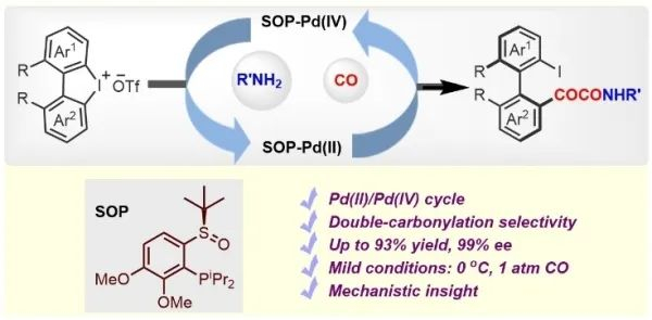 合成过程（图片来源于J.Am.Chem.Soc.）