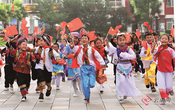 栽好梧桐树，引得凤凰来