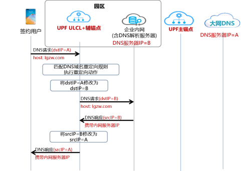 图2  基于DNS重定向分流流程
