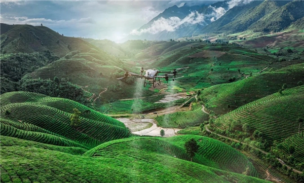 　　由DJI越南代理商拍摄