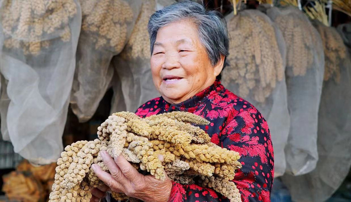 ▲ “庆祝中华人民共和国成立70周年”纪念章获得者陈瑛。郭佳｜摄
